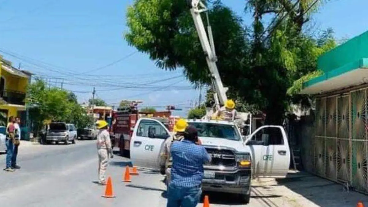 Podaba un árbol de gran altura y carpintero queda atrapado